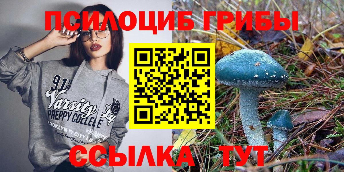 Галлюциногенные грибы Magic Shrooms  Псилоцибиновые грибы GOLDEN TEACHER  Вход с VPN  Назарово 